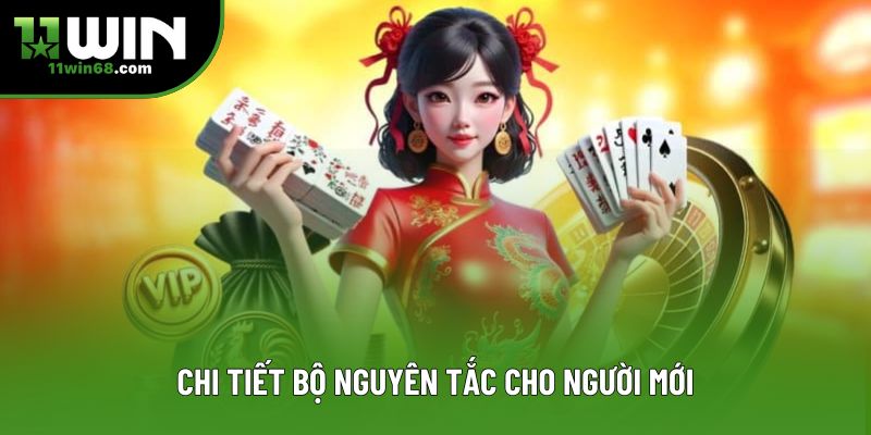 Chi tiết bộ nguyên tắc cho người mới Chi tiết bộ nguyên tắc cho người mới