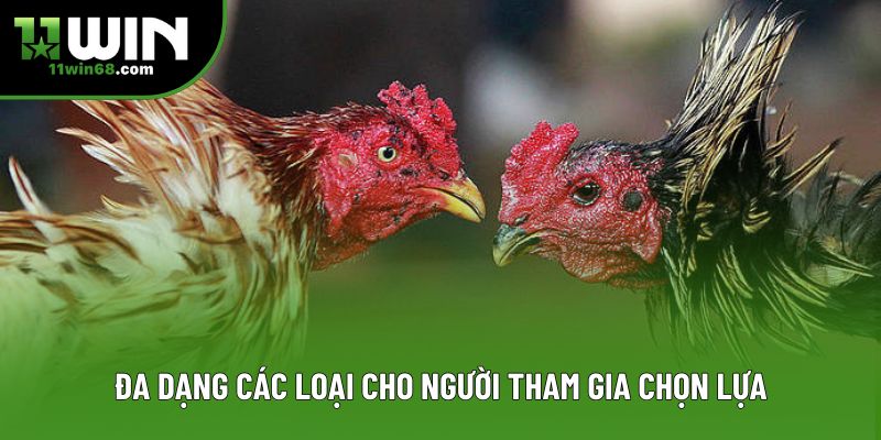 Đa dạng các loại cho người tham gia lựa chọn