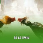 Đá Gà 11win - Trải Nghiệm Đỉnh Cao Tại Sân Chơi Uy Tín