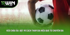 Kèo Châu Âu: Bật Mí Cách Tham Gia Hiệu Quả Từ Chuyên Gia