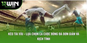Kèo Tài Xỉu – Lựa Chọn Cá Cược Bóng Đá Thú Vị, Cảm Xúc