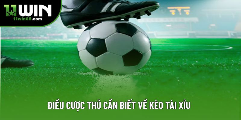 Điều cược thủ cần biết về kèo tài xỉu Điều cược thủ cần biết về kèo tài xỉu