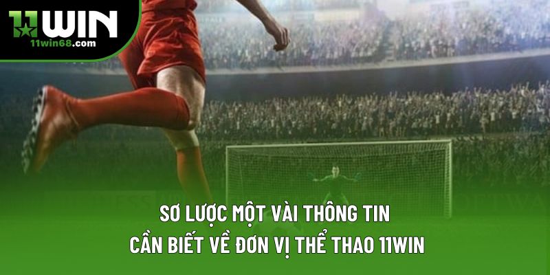 Sơ lược một vài thông tin cần biết về đơn vị thể thao 11WIN Sơ lược một vài thông tin cần biết về đơn vị thể thao 11WIN